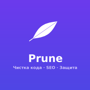 Prune — плагин чистки кода, SEO и защиты WordPress